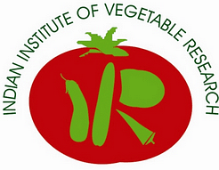 Indian Institute of Vegetable Research