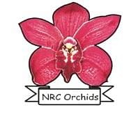 National Research Centre for Orchids